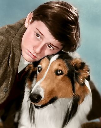 Lassie Come Home (1943) - Turner Classic Movies