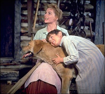 And Your Little Dog, Too! And Your Little Dog, Too!