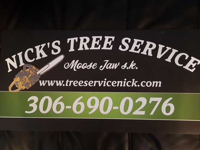 tree removal moose jaw, Veneta OR