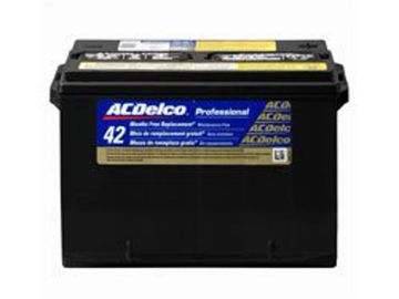 ACDelco professional gold 42month Group 78 automotive battery.