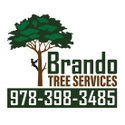 free estimates