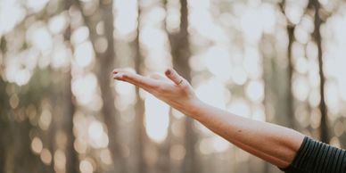 Hand reaching upward in wooded setting.