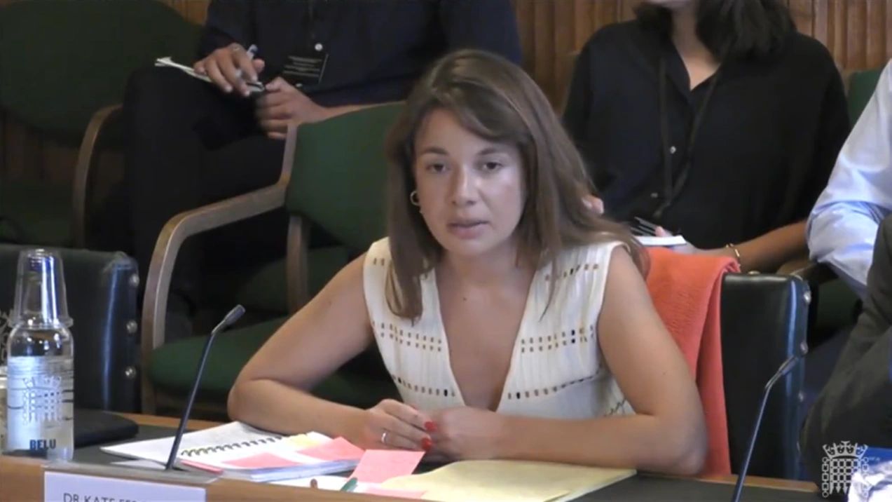 Protection Approaches raises alarm on Sudan in Parliament