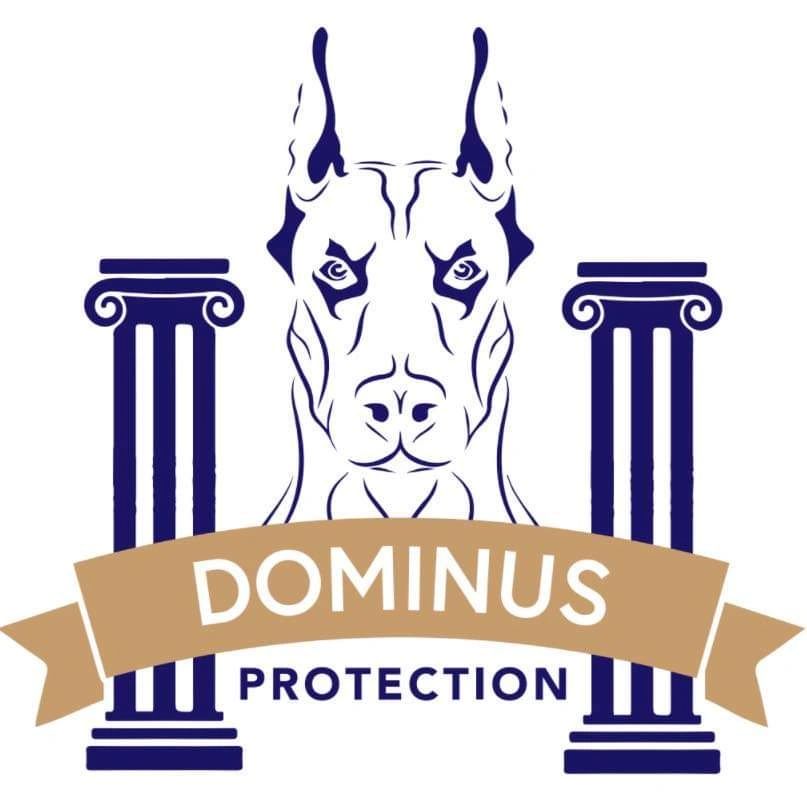 dominusprotection-com cover