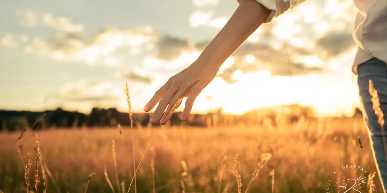 A golden field sunset with a woman’s hand gently grazing tall grass.