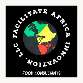 FACILITATE AFRICA INNOVATION LLC 