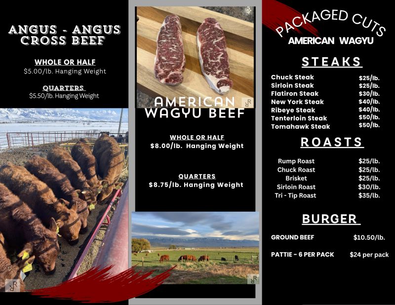 angus - angus cross beef (2).png