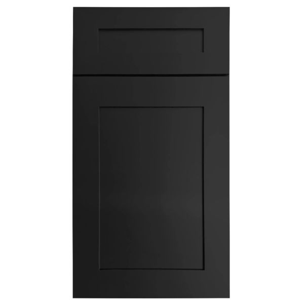Black cabinet door with recessed panel design.