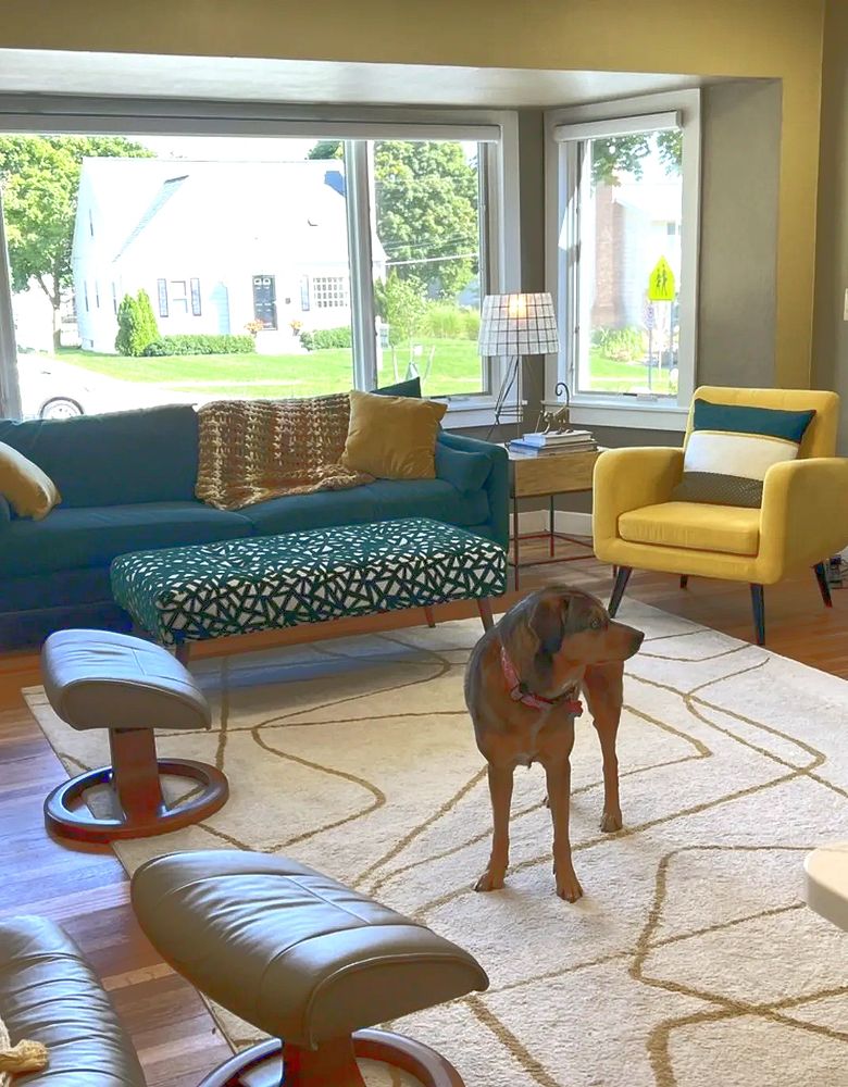 Cozy living room with modern furniture and a dog standing on a patterned rug.