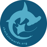 Shark Stewards