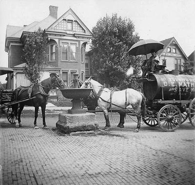 Horses drink from water fountain on South Broadway and East Pershing