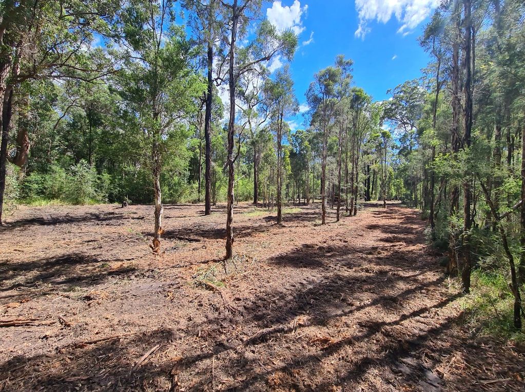 Land Clearing for Septic System installation.