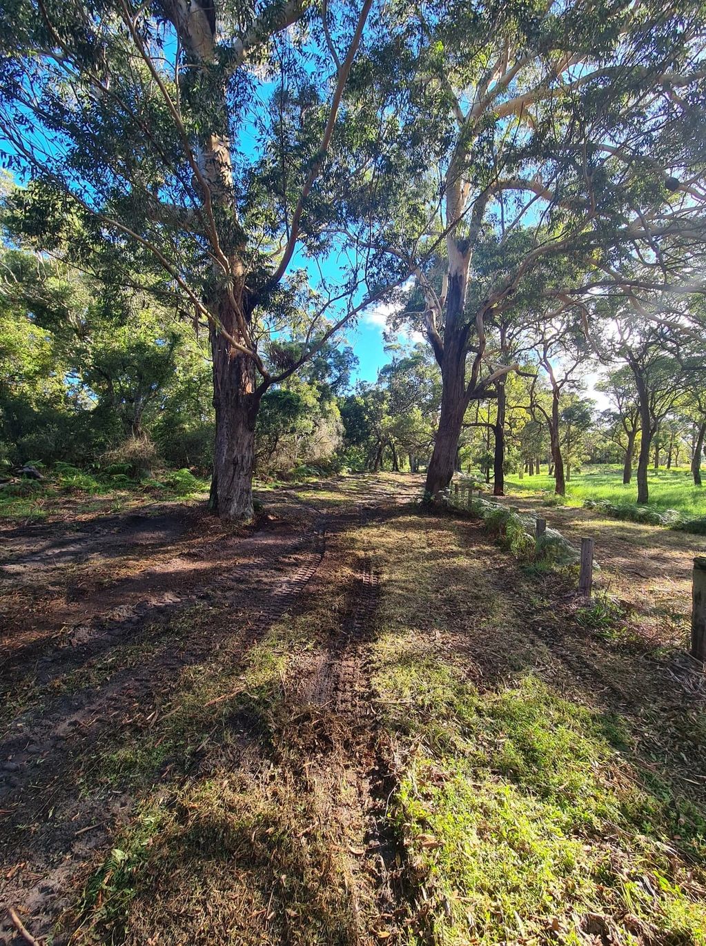 Fence Line Management - After