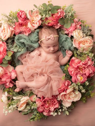Newborn Photography Gift Certificates