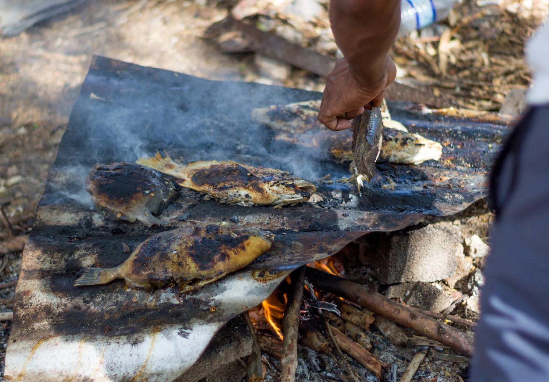 Roasting fish on the beach in Treasure Beach Jamaica