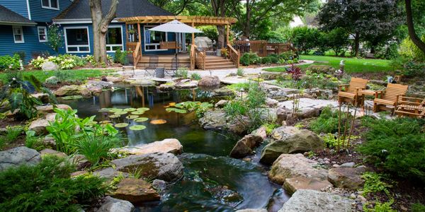 Serene ecosystem pond in a tranquil backyard setting