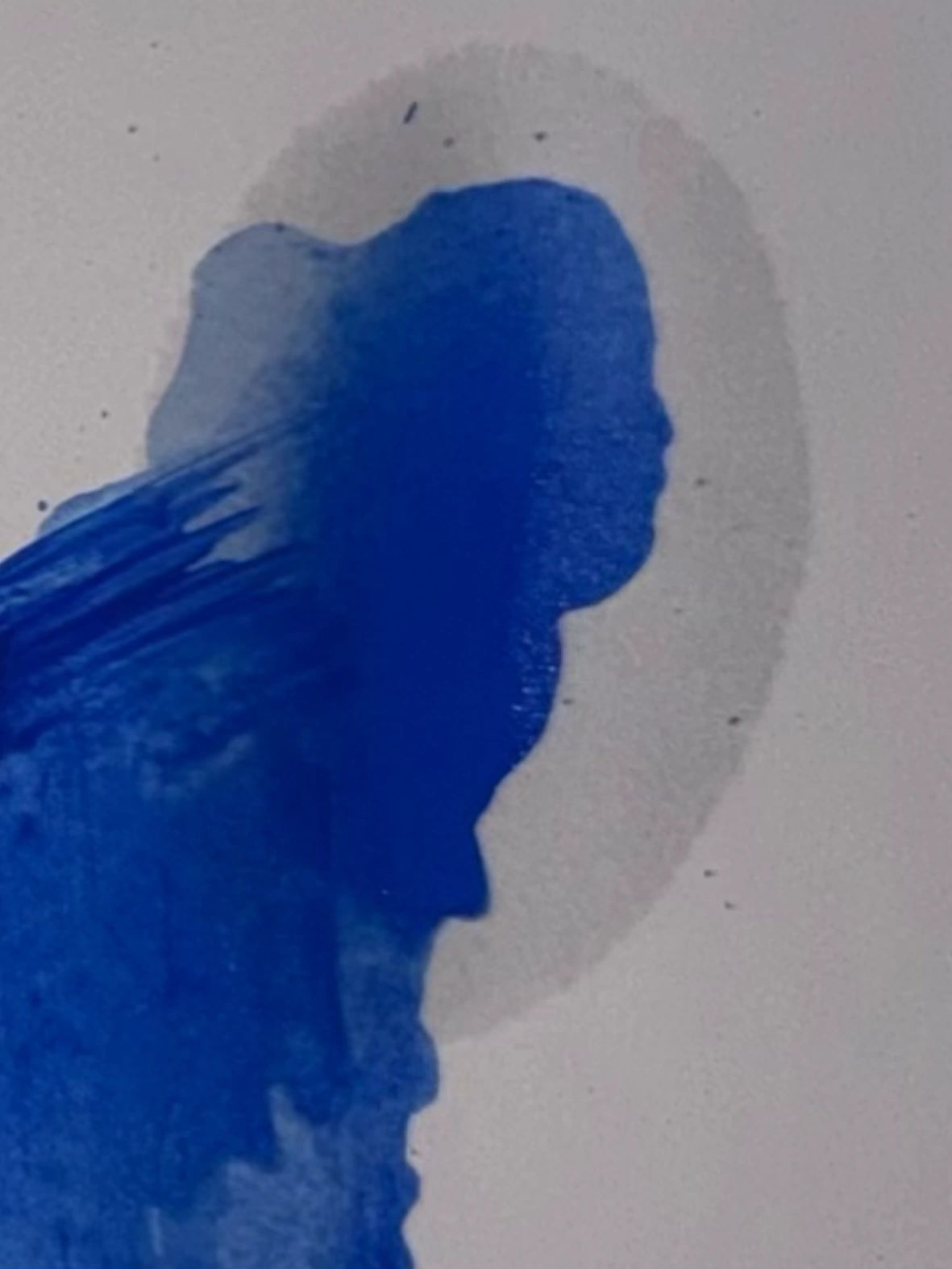 Blue paint stain resembling a person's side profile on a white background.