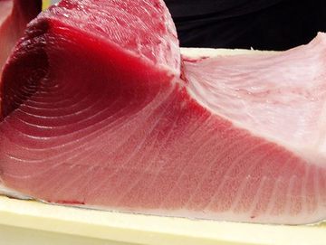 Bluefin Tuna