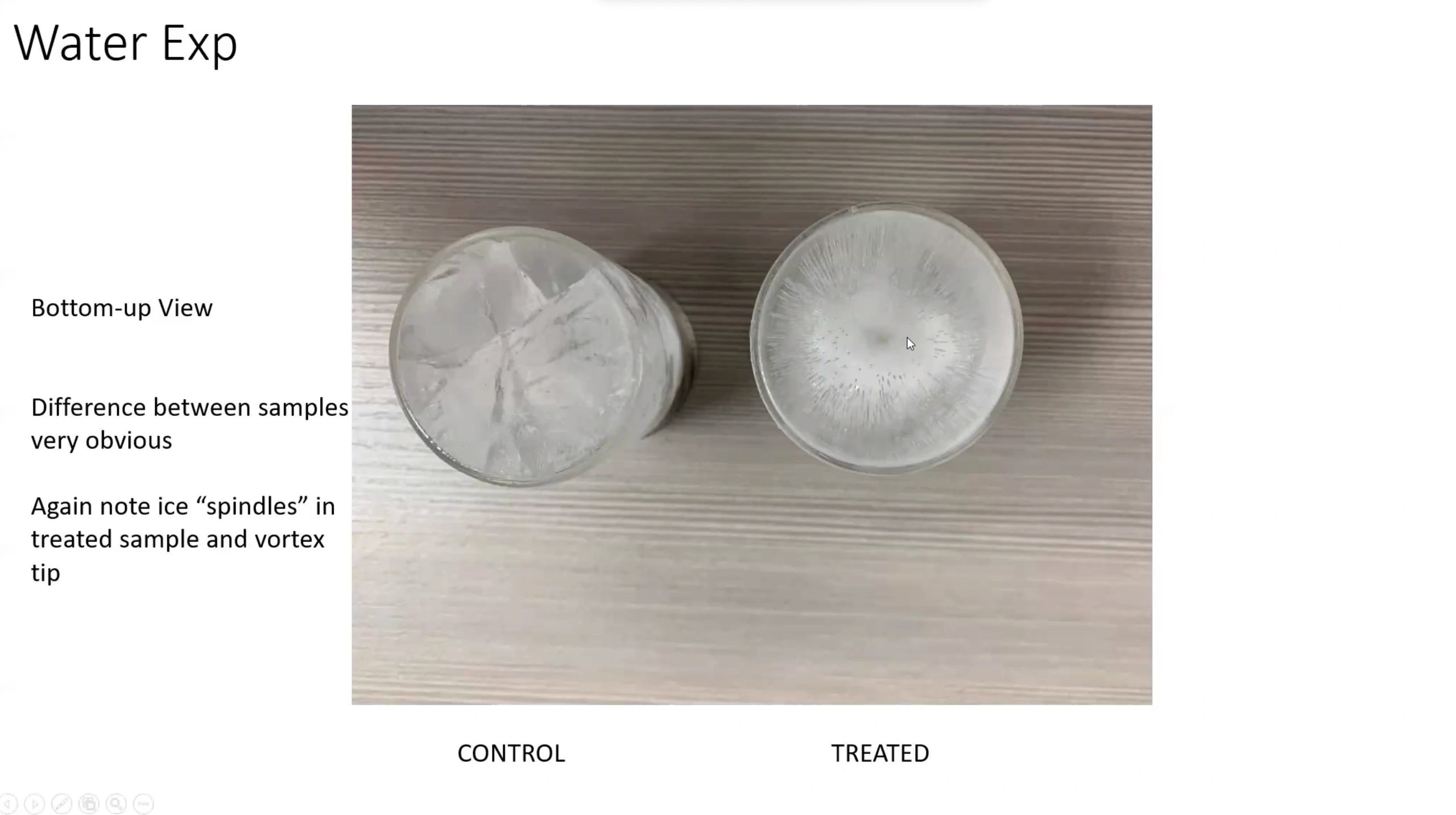 Top-down view of ice formation in control and treated water samples.