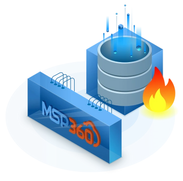MSP 360 Services