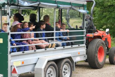 Children riding on a tractor-pulled trailer outdoors.