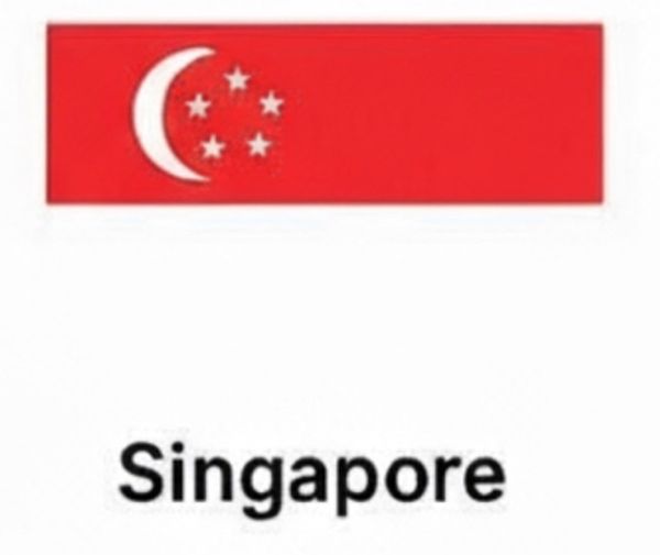 Crypto Owl free beginner's crypto guides and courses - Singapore