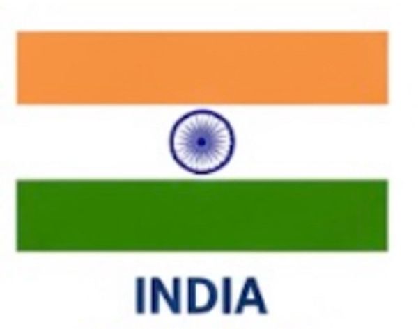 Crypto Owl free beginner's crypto guides and courses - India