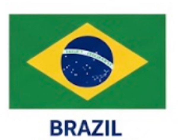 Crypto Owl free beginner's crypto guides and courses - Brazil