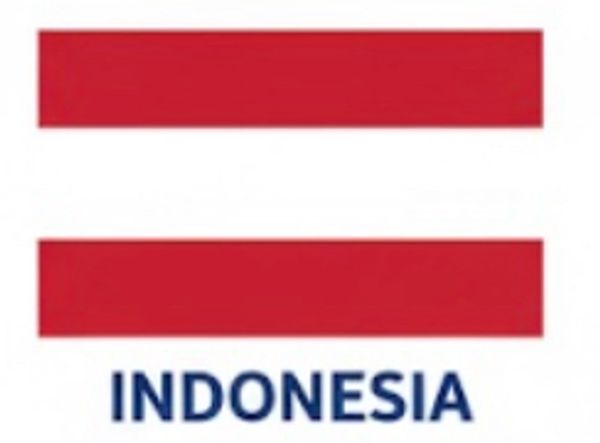 Crypto Owl free beginner's crypto guides and courses - Indonesia