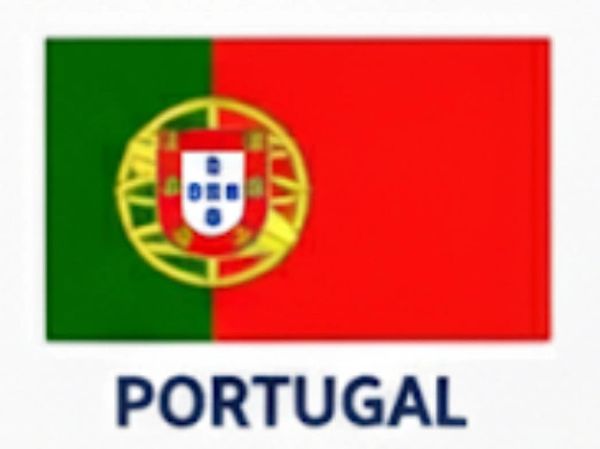 Crypto Owl free beginner's crypto guides - Portugal