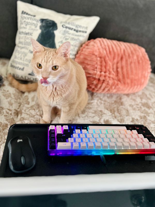 Orange cat sitting behind a colorful LED keyboard and mouse on a black mat.