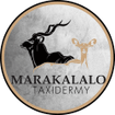 Kruger Taxidermy