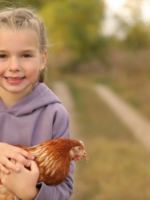 Happy Hens