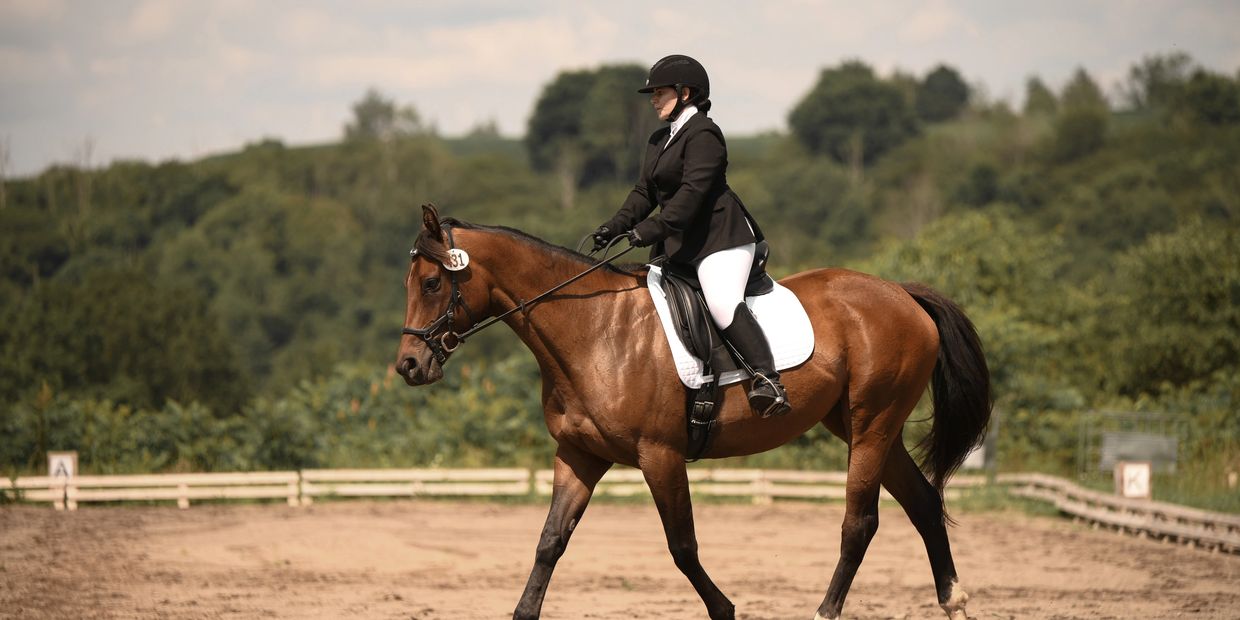 Victoria at a dressage competition 