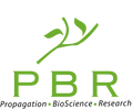 PBR International logo tiered
