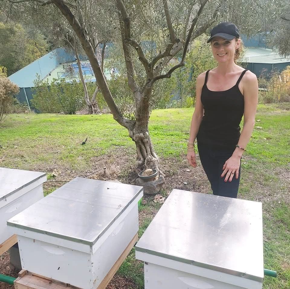 Encinitas Honey Bee Removal