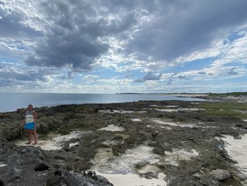 Exploring the Beach with Cozumel Buggy Tours
