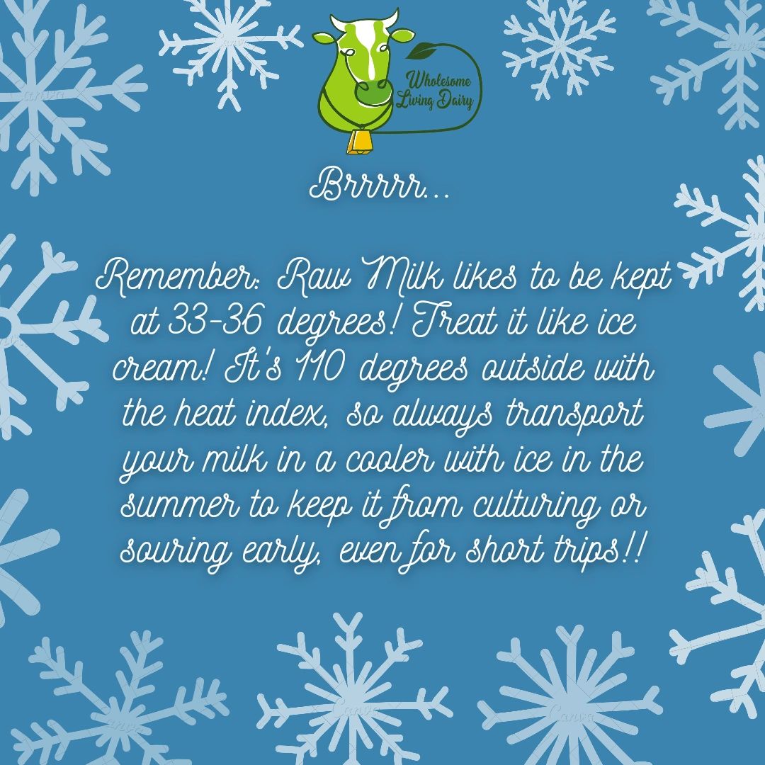 Raw Milk Dairy Wholesome Living Dairy