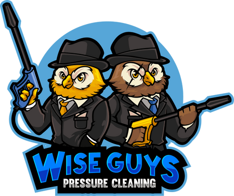 Wise guys pressure cleaning