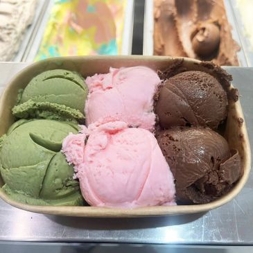 A tray with three scoops each of green, pink, and chocolate ice cream.