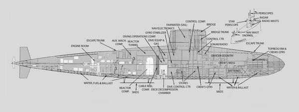 USS Teuthis cross-section