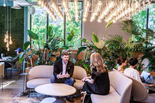 People having a conversation in a stylish office lounge with plants.