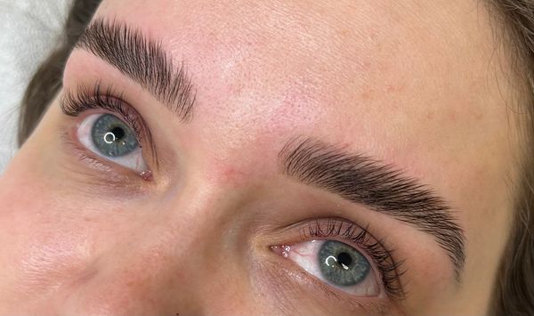 Lsah Lift and tint Brow Lamination with Keratine infusion 