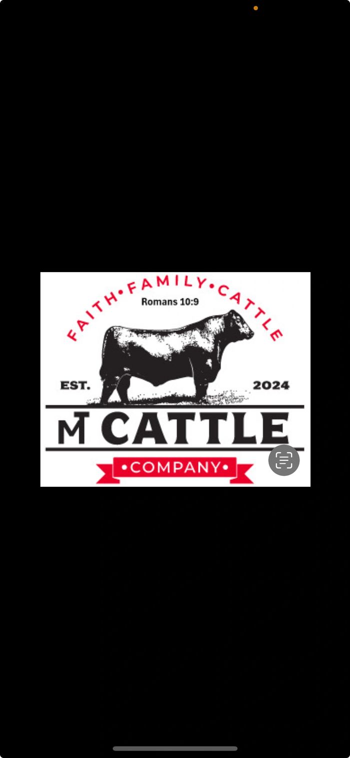 MT Cattle Company