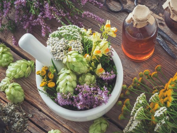 Herbs are for nourishing and support our physical and mental health!