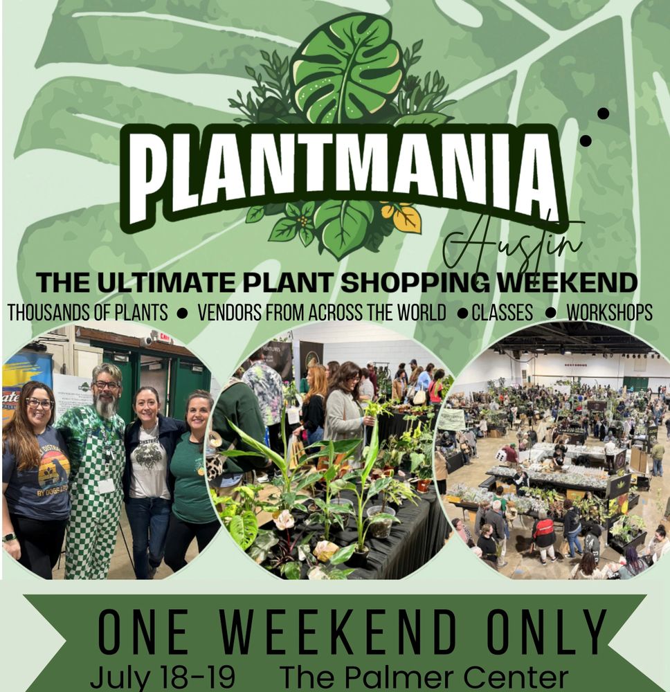 Rare Plant Expo: A Paradise for Plant Lovers