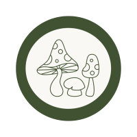 Tiny Toadstools Forest School & Kindergarten