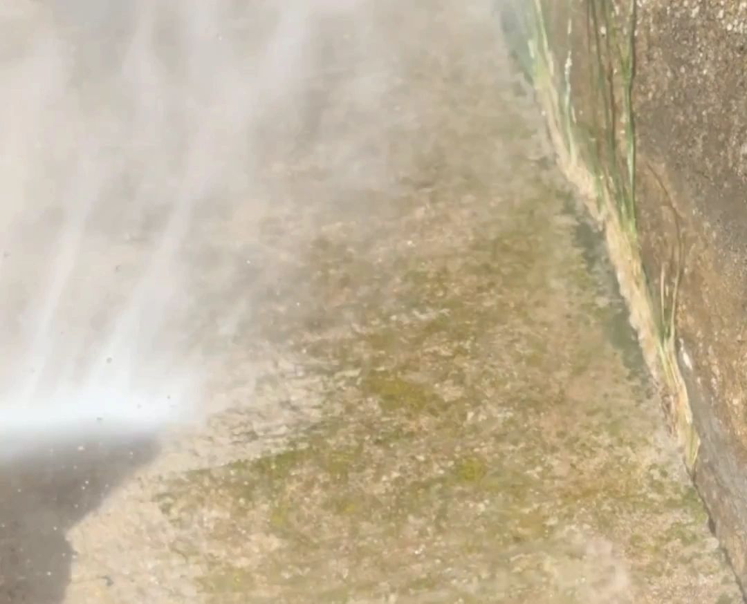 https://img1.wsimg.com/isteam/ip/1399c77e-33ba-4fa1-9a3e-c53e555a3d04/thumbnails/thumbnail-a80e4418-a457-42d8-ad60-c1a521f4d885.png