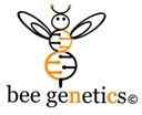 Bee Genetics 