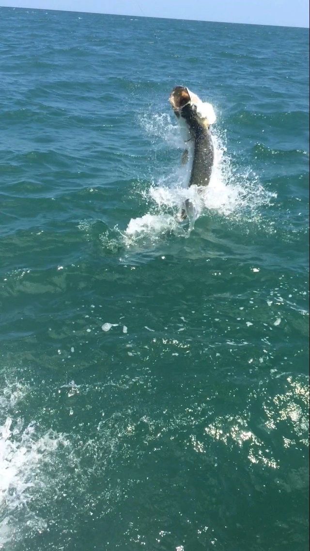 Fishing Amelia Island